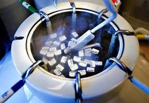 細胞凍存 細胞凍存