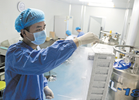 細胞凍存 細胞凍存