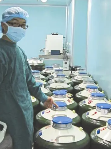 液氮凍存 液氮凍存